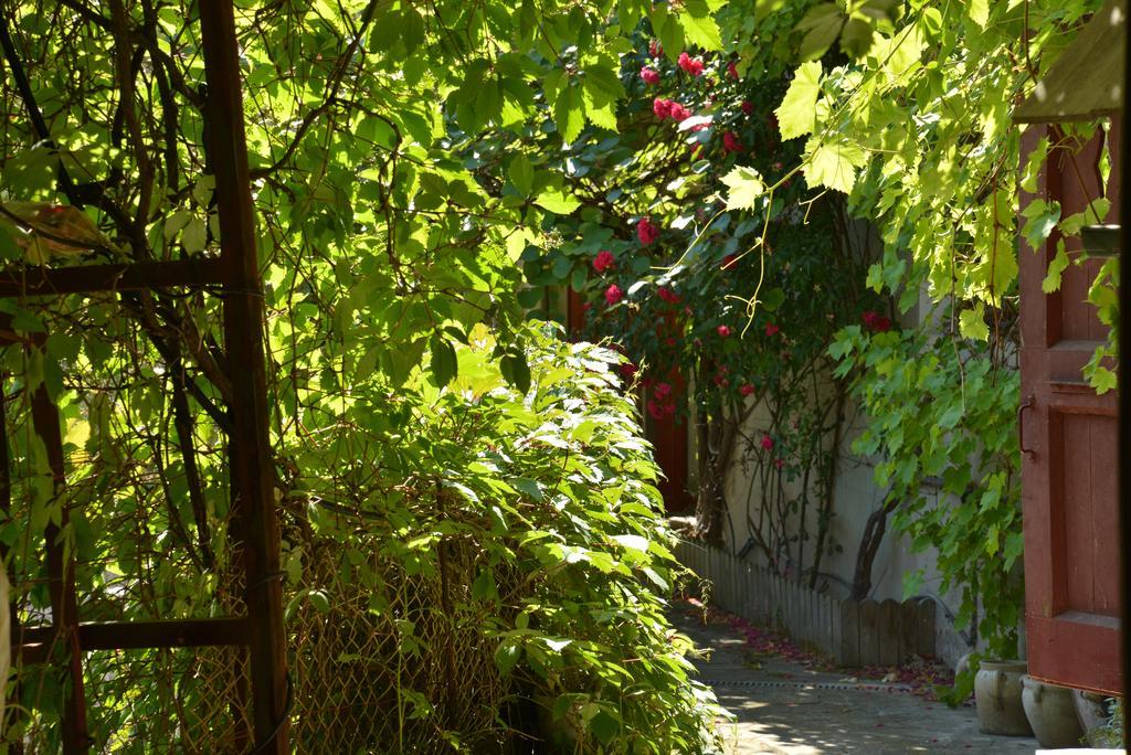 La Maison De Marthe Malleval Szoba fotó